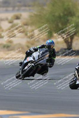 media/May-14-2023-SoCal Trackdays (Sun) [[024eb53b40]]/Turn 5 Tree of Life (1125am)/